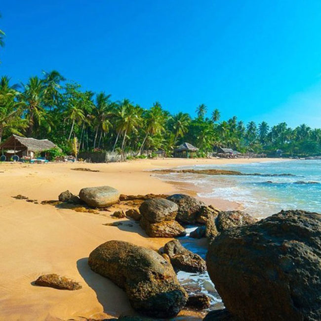 The-island-Nation---Sri-Lanka-Tour-Package